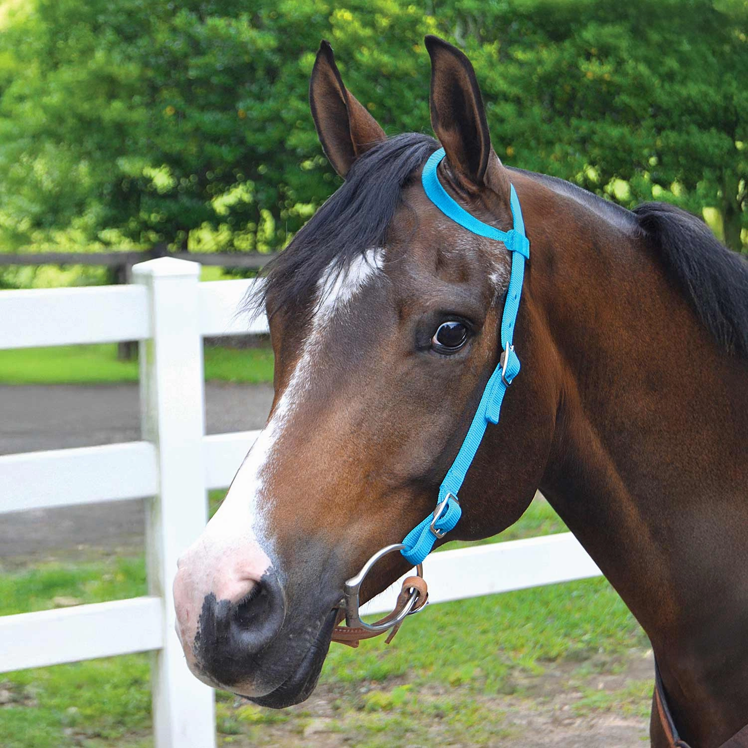 Jeffers Nylon One Ear Western Horse Headstall