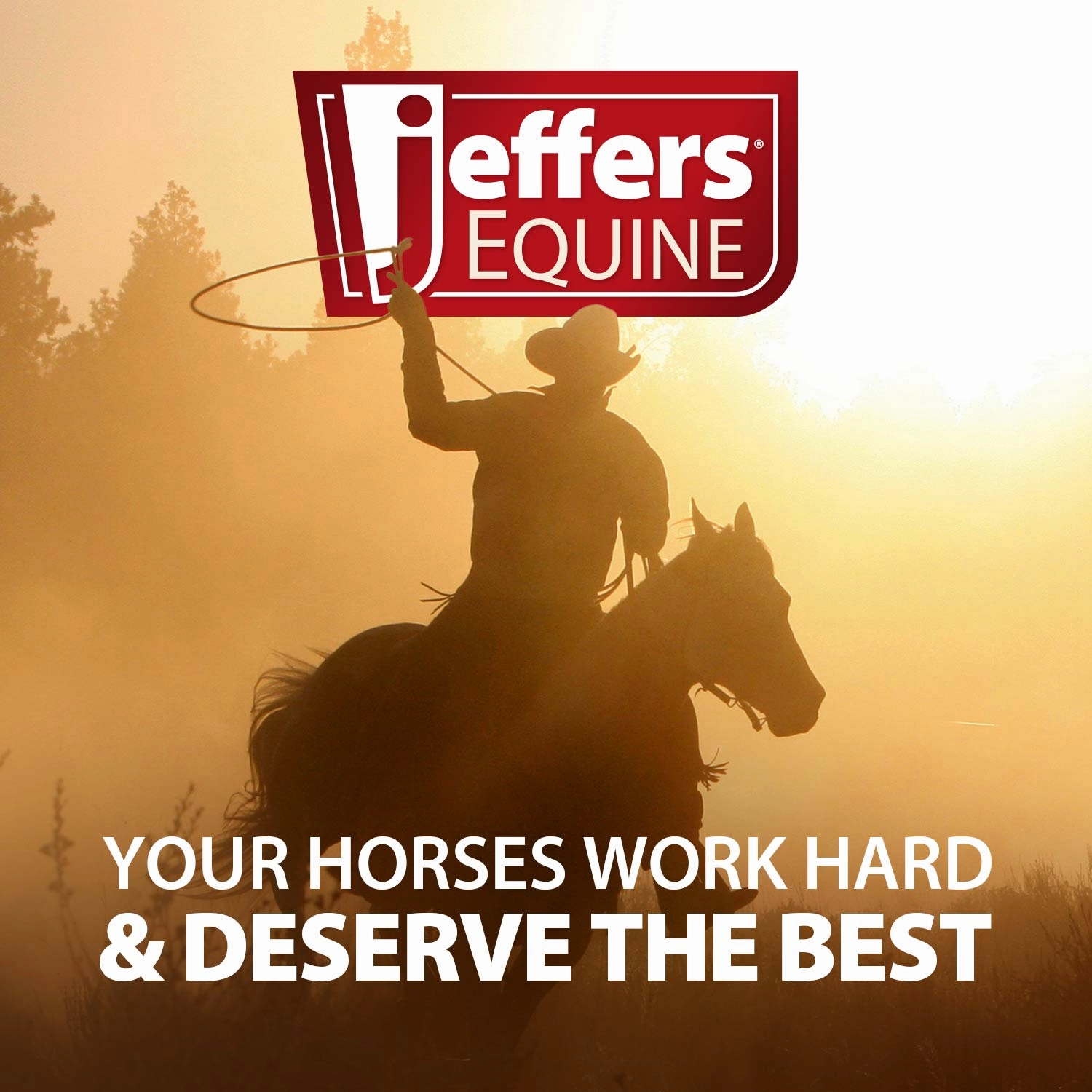 Jeffers Nylon One Ear Western Horse Headstall