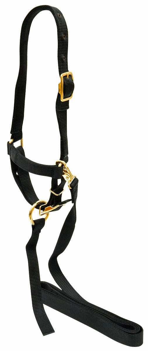 Jeffers Nylon Sheep Halter & Lead Set, 3/4" x 6' Lead