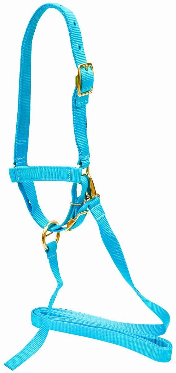 Jeffers Nylon Sheep Halter & Lead Set, 3/4" x 6' Lead