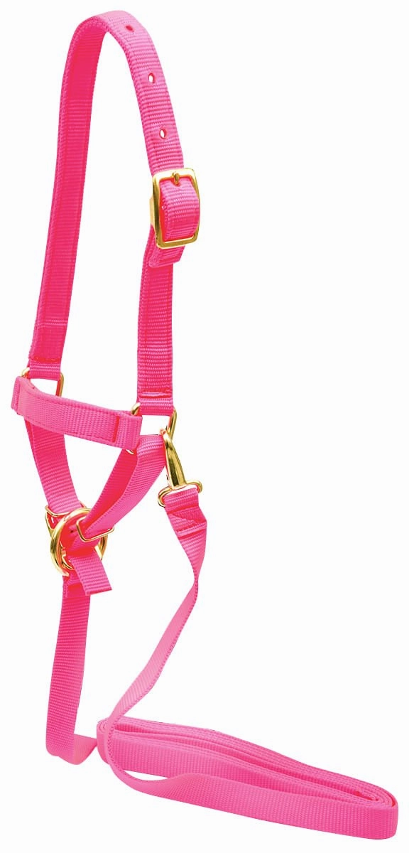 Jeffers Nylon Sheep Halter & Lead Set, 3/4" x 6' Lead