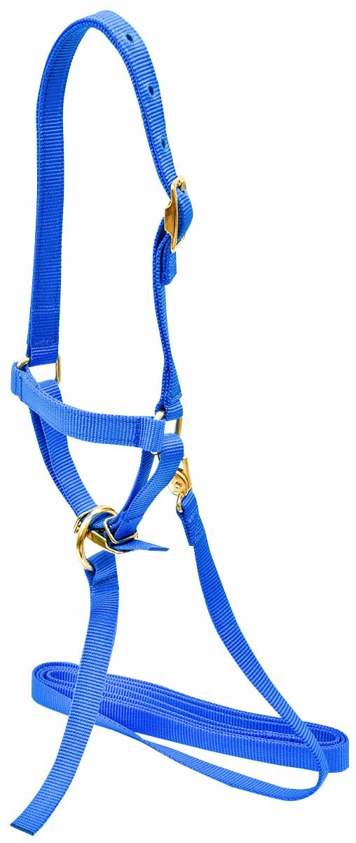 Jeffers Nylon Sheep Halter & Lead Set, 3/4" x 6' Lead