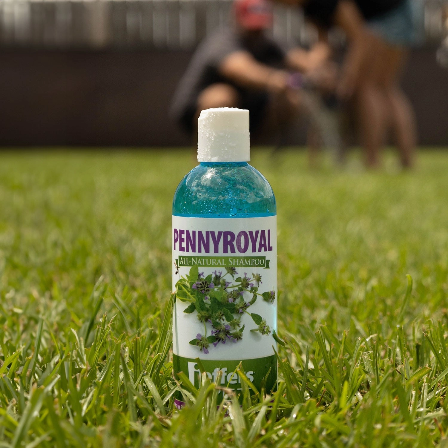 Jeffers Pennyroyal Natural Shampoo for Dogs and Cats