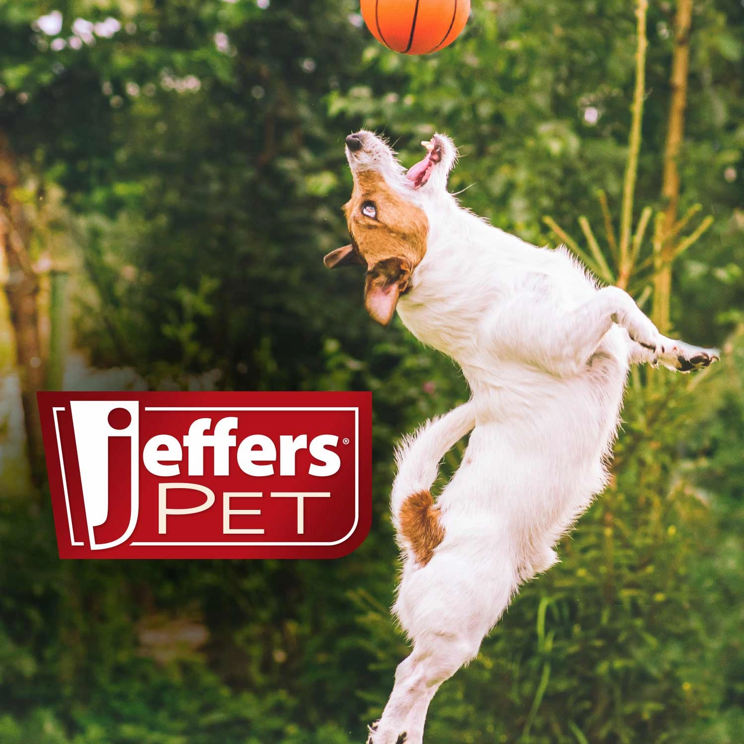 Jeffers Pennyroyal Natural Shampoo for Dogs and Cats
