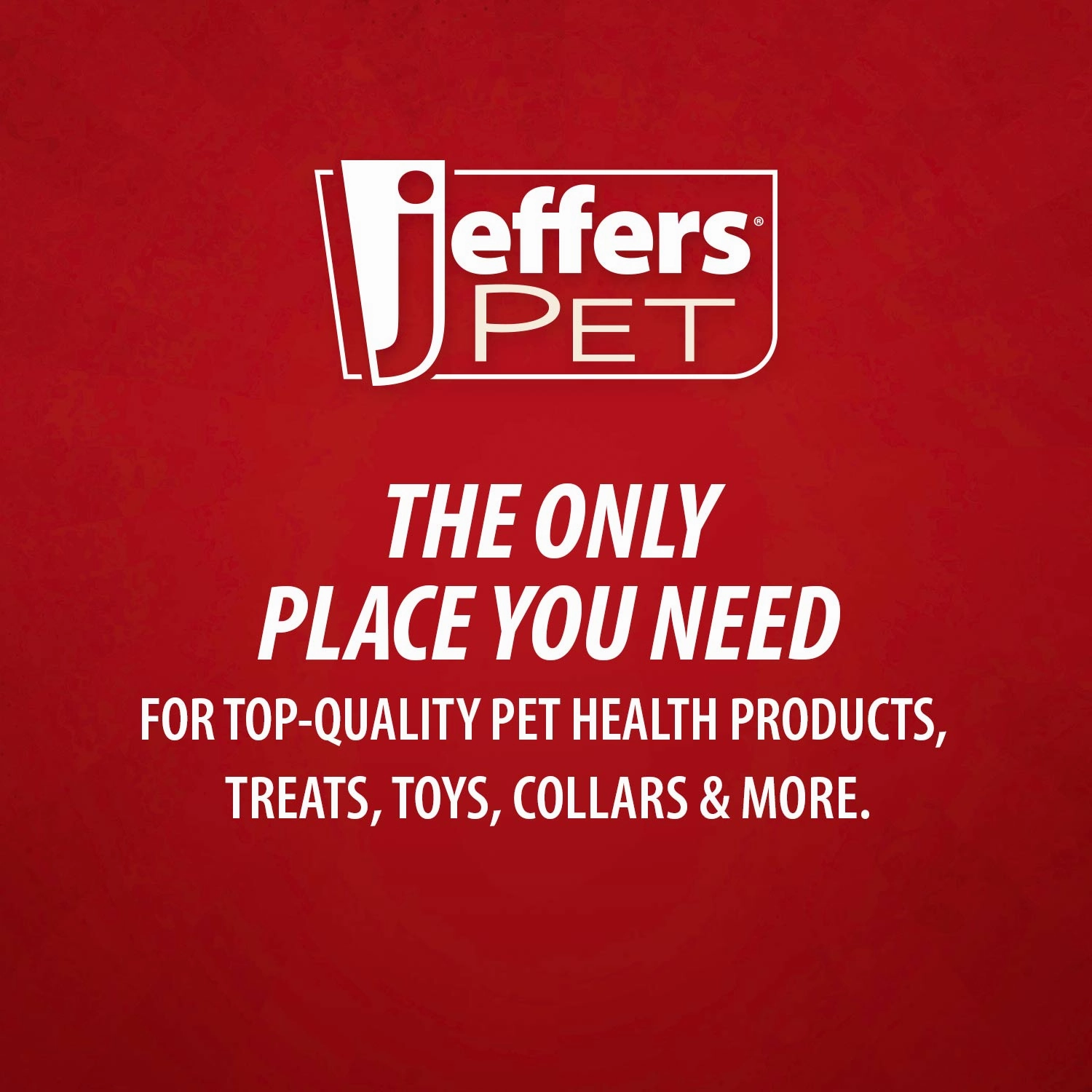 Jeffers Reflective Nylon Safety Collar with Bell for Cats