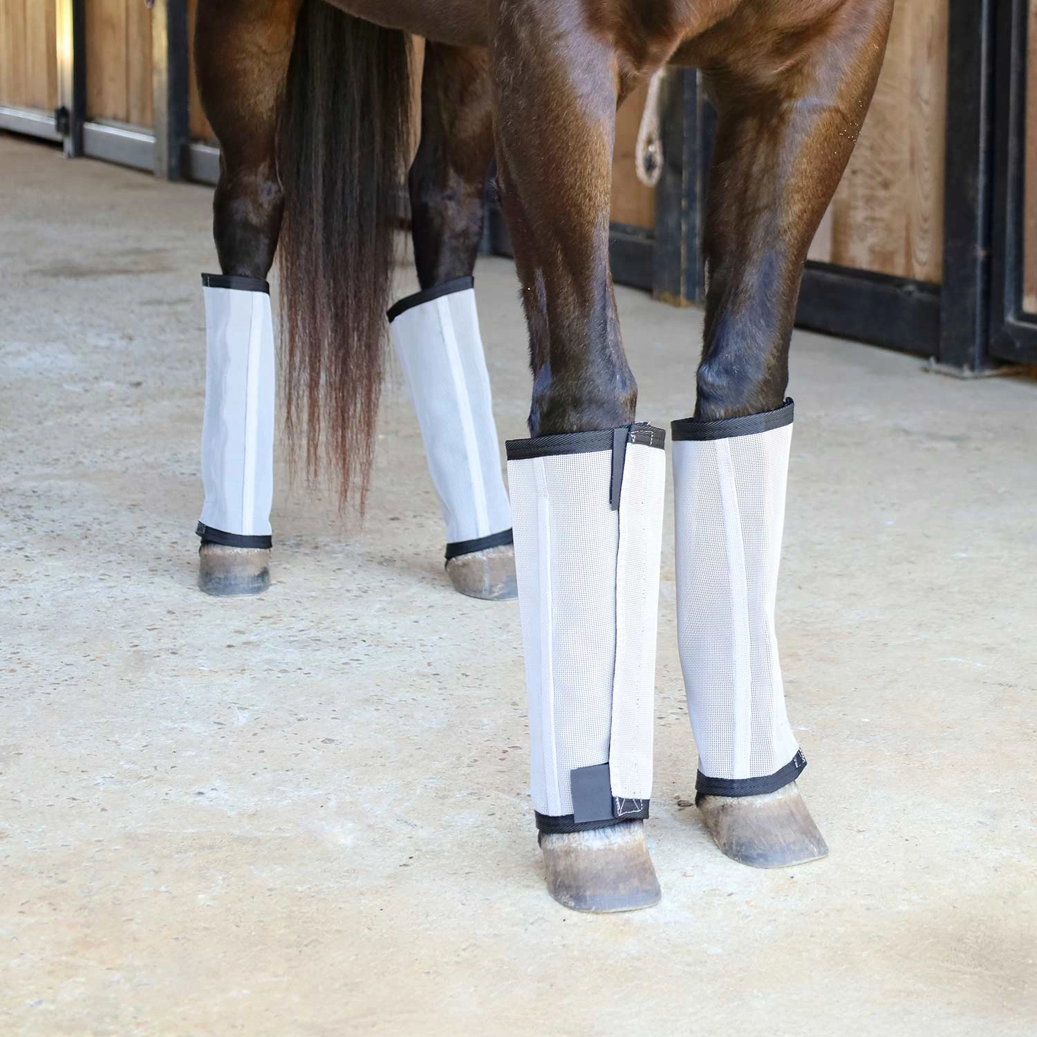 Jeffers Romper Stomper "Stomp-Free" Fly Boots for Horses, 4 pack