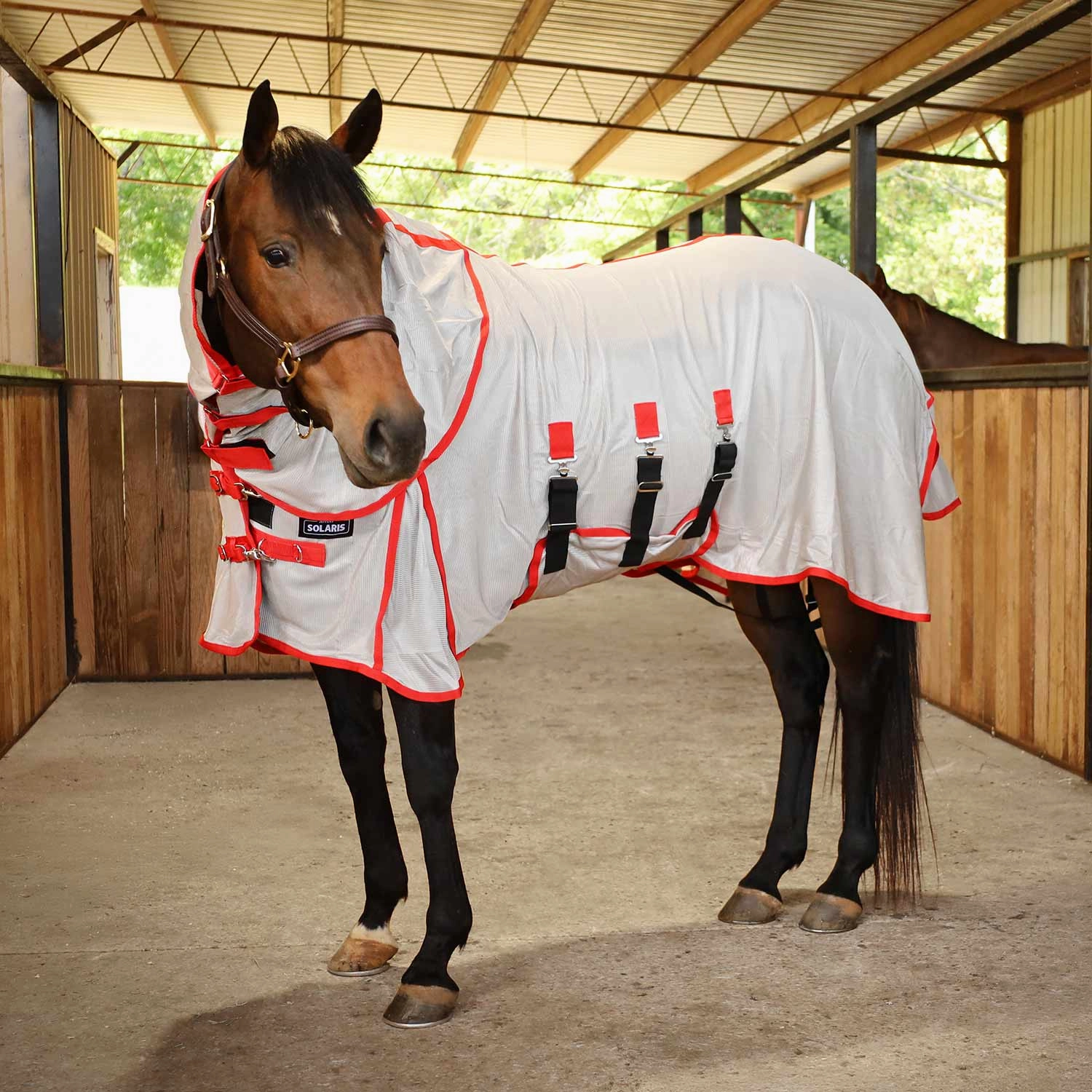 Jeffers Solaris Horse Fly Sheet with Detachable Neck, Grey & Red poultry remedies poultry supplement goat vitamins sheep probiotics animal health boost