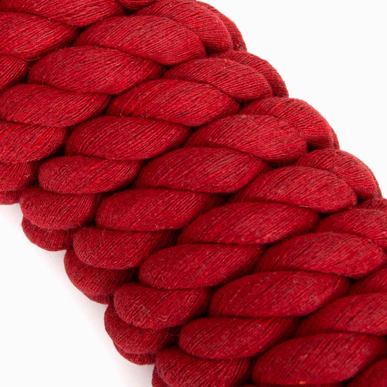 Jeffers Solid Cotton Horse Lead Ropes with Brass Bolt Snap, 10' L