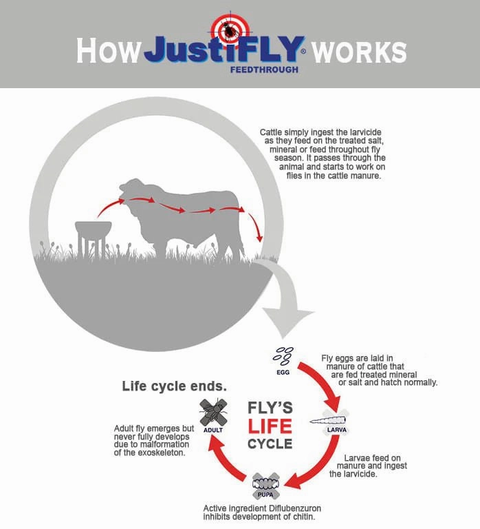 JustiFly Feedthrough 3%, 360g Pack