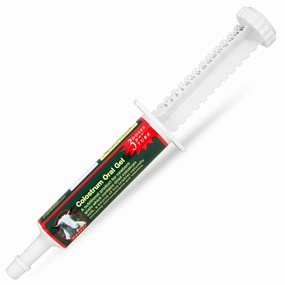 Kaeco Multi-Species Colostrum Supplement Gel, 30 mL chicken supplies backyard chicken coop accessories poultry food chicken vitamins