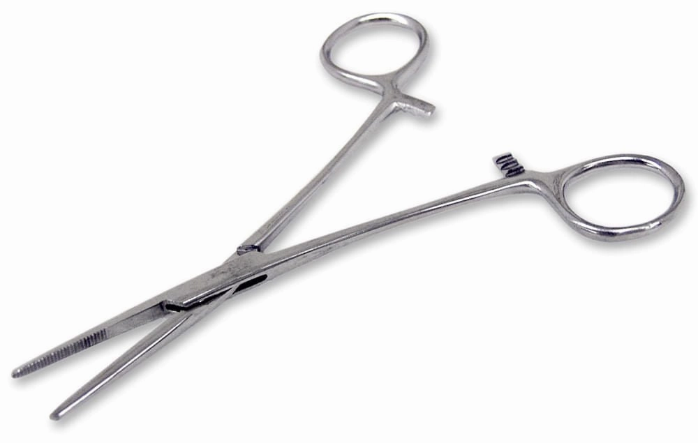 Kelly Forceps, Straight, 5 1/2" plush dog toys fluffy dog toy dog cuddle toy dog toy set stuffed toy for dogs