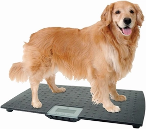 Large Digital Pet Scale cat grooming cat shampoo cat conditioner cat comb cat grooming glove