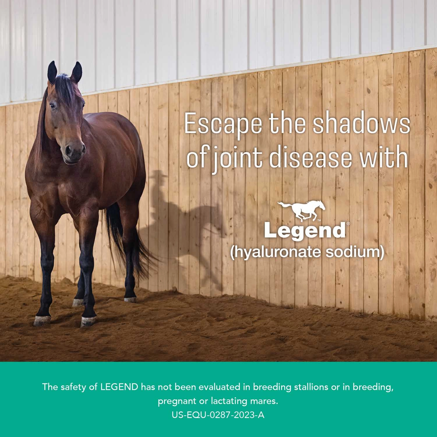 Legend (hyaluronate sodium) Injectable Solution for Horses