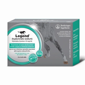 Legend (hyaluronate sodium) Injectable Solution for Horses tuff dog toys durable toys for dogs chew tested toys hard chew toy strong plush