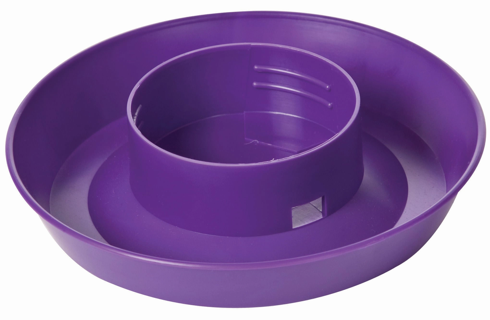 Little Giant Color Chick Waterer Base, Quart