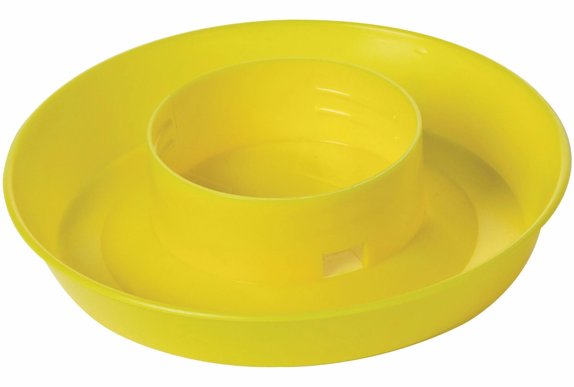 Little Giant Color Chick Waterer Base, Quart