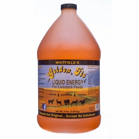 Livestock Golden Flo Liquid Energy, 1 gallon sheep feed sheep mineral sheep hay sheep pellets sheep salt block