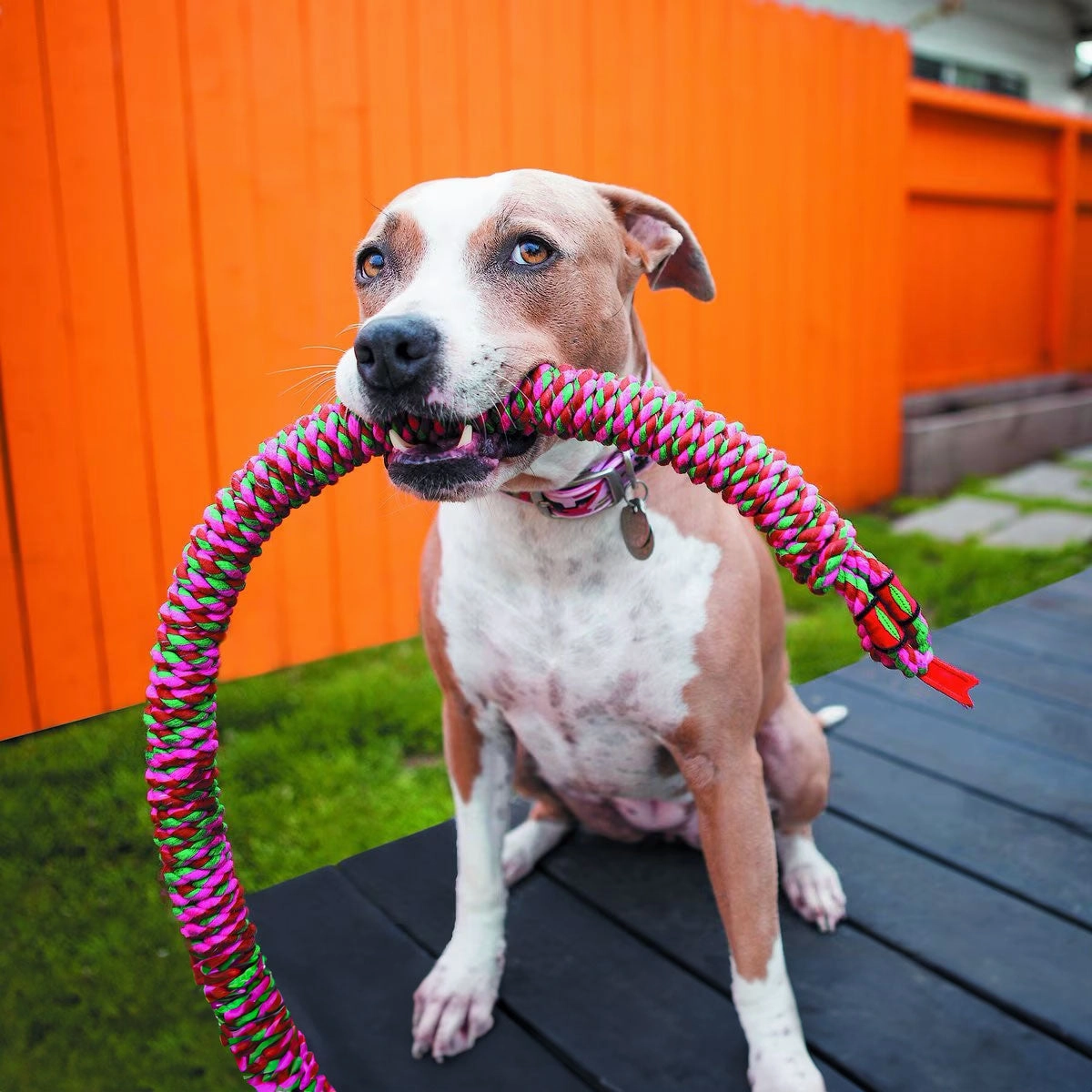 Mammoth Snake Biter 42"Rope Toy