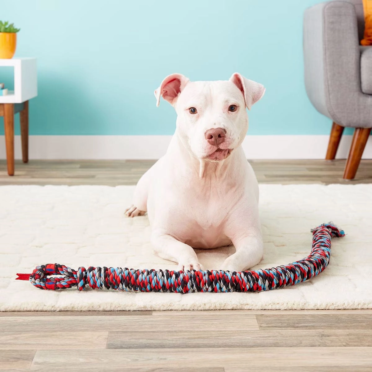 Mammoth Snake Biter 42"Rope Toy