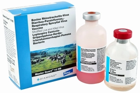 Master Guard 10 HB Cattle Vaccine sheep feed sheep mineral sheep hay sheep pellets sheep salt block