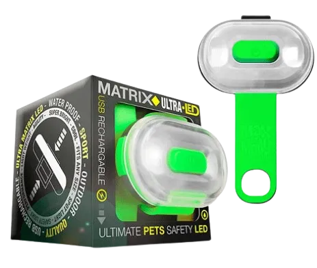 Max & Molly Ultra Bright LED Pet Light - Green dog accessories dog collar dog leash dog bowtie dog backpack