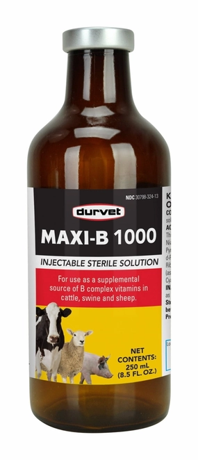 Maxi B 1000, 100 ml multi-pet food pet bundle kits pet care sets pet health combos pet treat packs