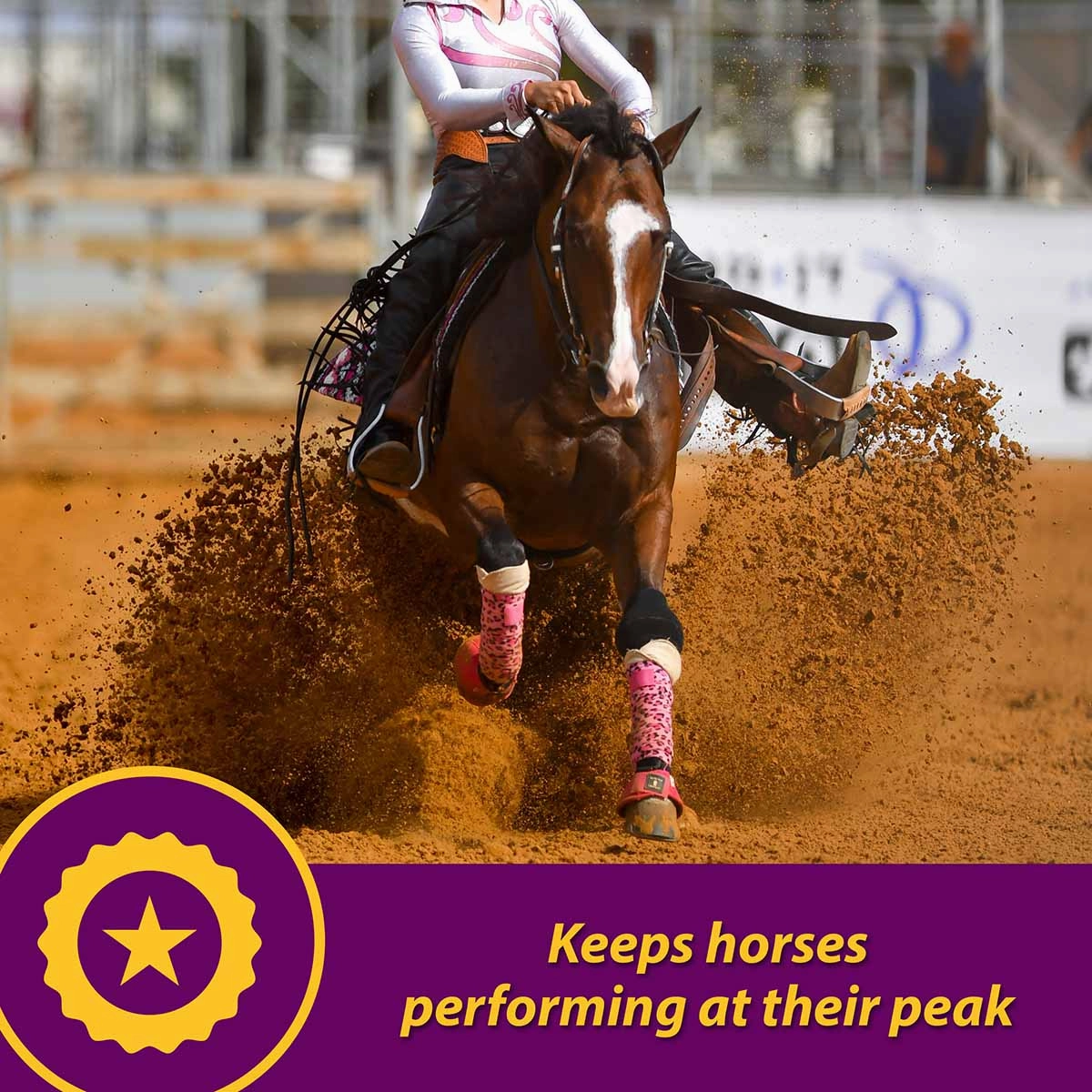 Maxum Crumbles for Horses