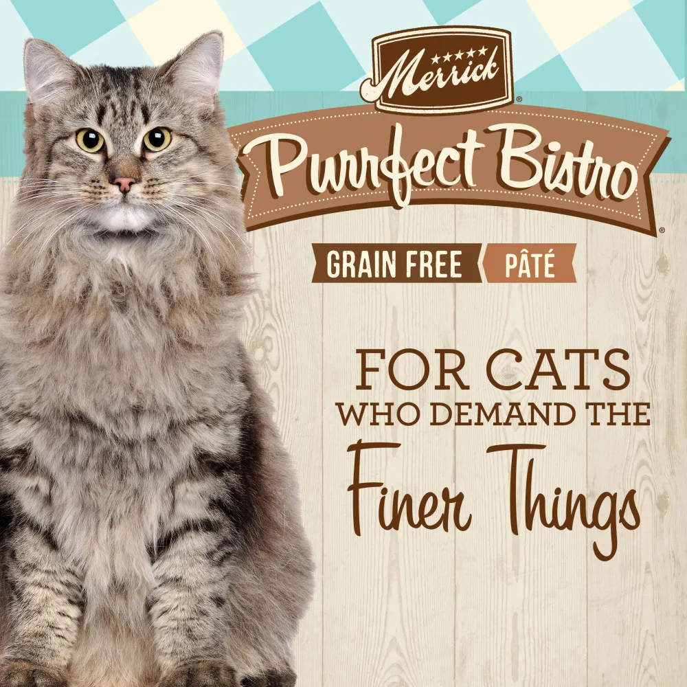 Merrick Purrfect Bistro Grain Free Premium Soft Canned Pate Adult Wet Cat Food, High Protein Salmon Recipe