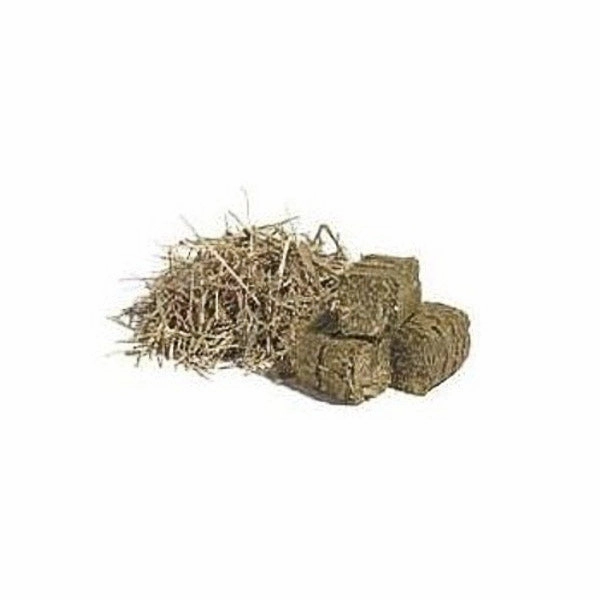 Momi Timothy Cake 1lb puppy starter kit puppy crate puppy collar puppy pee pad puppy food