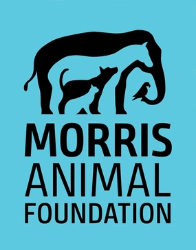 Morris Animal Foundation Donation cat grooming cat shampoo cat conditioner cat comb cat grooming glove