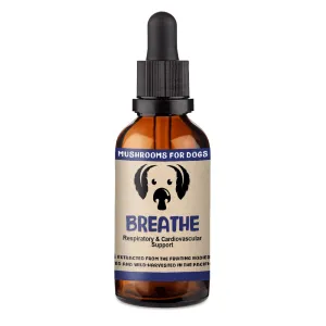 MycoDog Breathe - Mushroom Extract & Adaptogen Tincture 2fl oz 60ml Dropper pig feed piglet nutrition pig food pellets pig vitamins pig treats