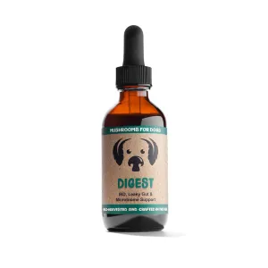 MycoDog Digest - Mushroom Extract & Adaptogen Tincture 2fl oz 60ml Dropper pig feed piglet nutrition pig food pellets pig vitamins pig treats