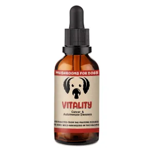 MycoDog Vitality - Mushroom Extract & Adaptogen Tincture 2fl oz 60ml Dropper pig feed piglet nutrition pig food pellets pig vitamins pig treats