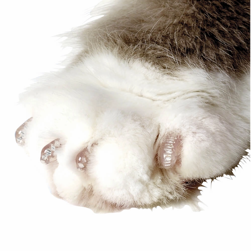 Nail Caps for Cats