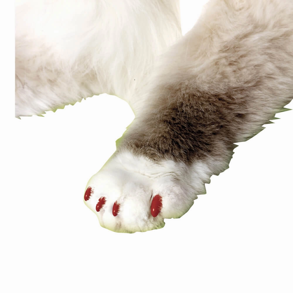 Nail Caps for Cats