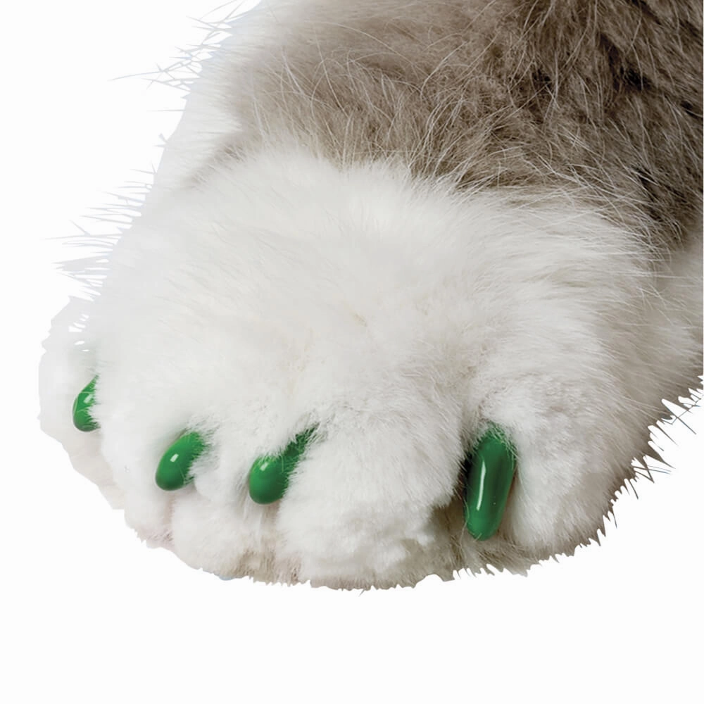 Nail Caps for Cats