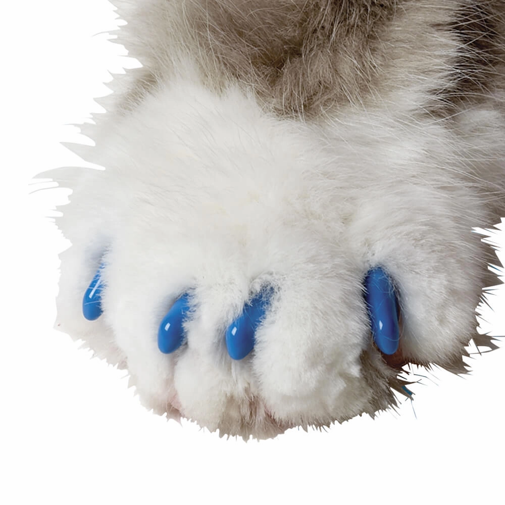 Nail Caps for Cats