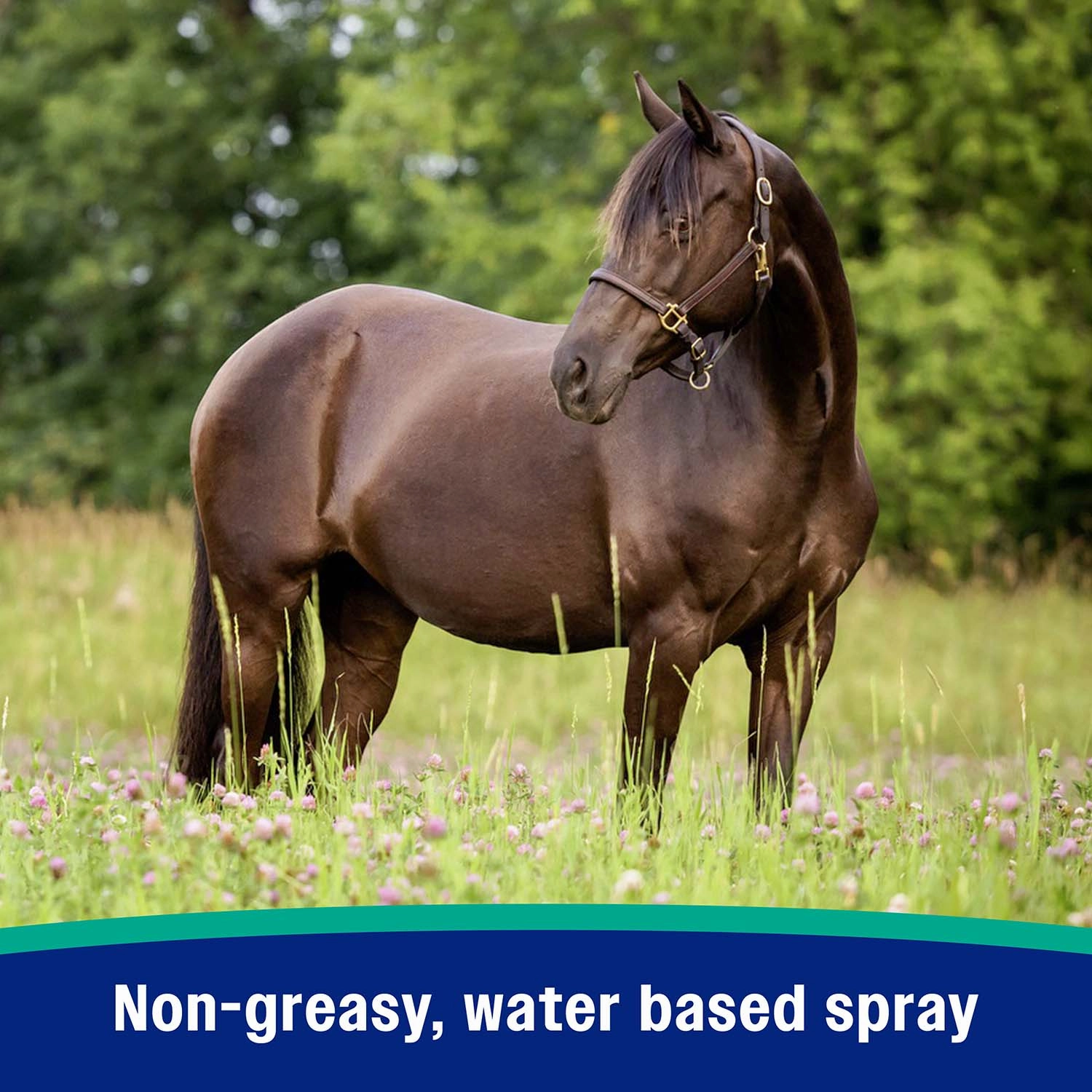 Nature's Defense Fly Repellent Spray
