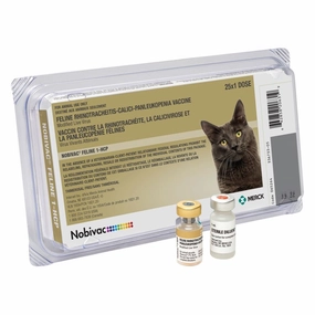 Nobivac Feline 1-HCP Cat Vaccine cat grooming cat shampoo cat conditioner cat comb cat grooming glove