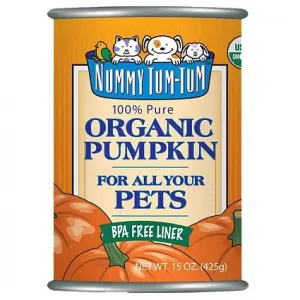 Nummy Tum Tum Organic Pumpkin cat supplies cat house cat tree cat feeder cat collar