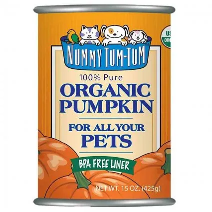 Nummy Tum Tum Organic Pumpkin cat supplies cat house cat tree cat feeder cat collar