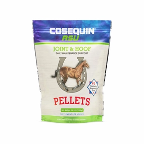 Cow Health & Wellness