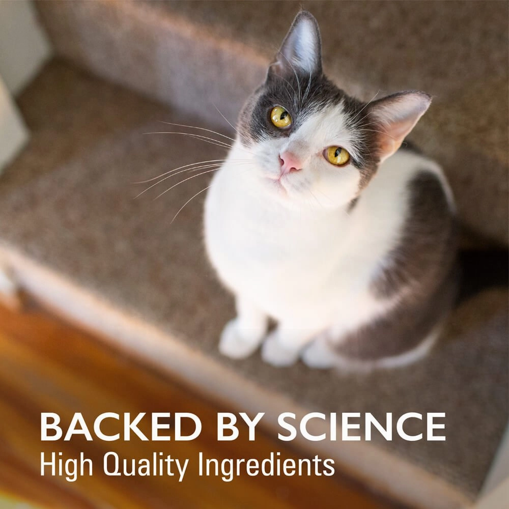 Nutramax Imuquin Immune Health for Cats, 30 Packets