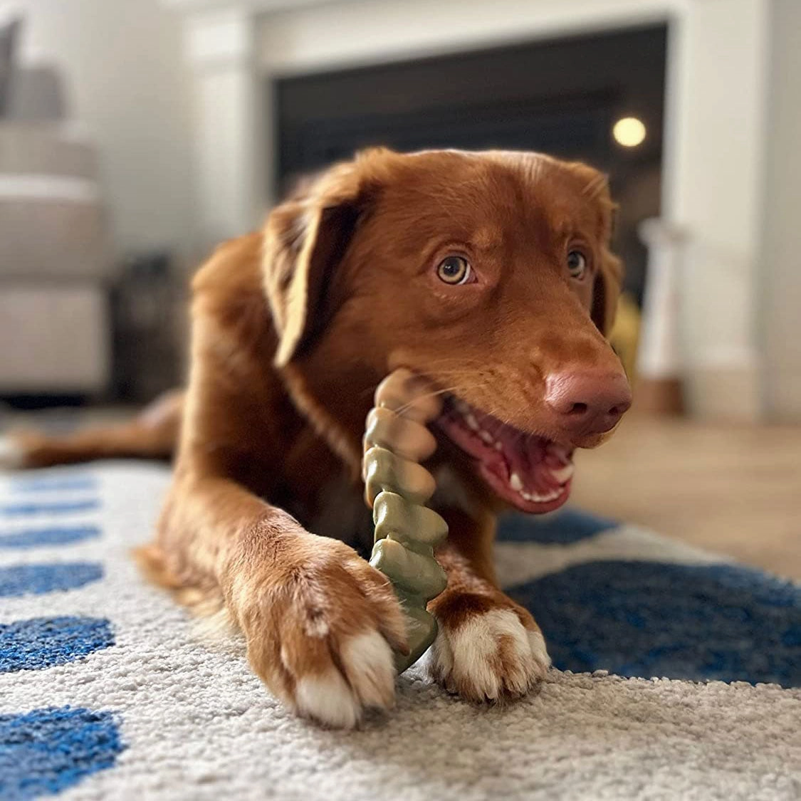 Nylabone Gator Tail Power Chew