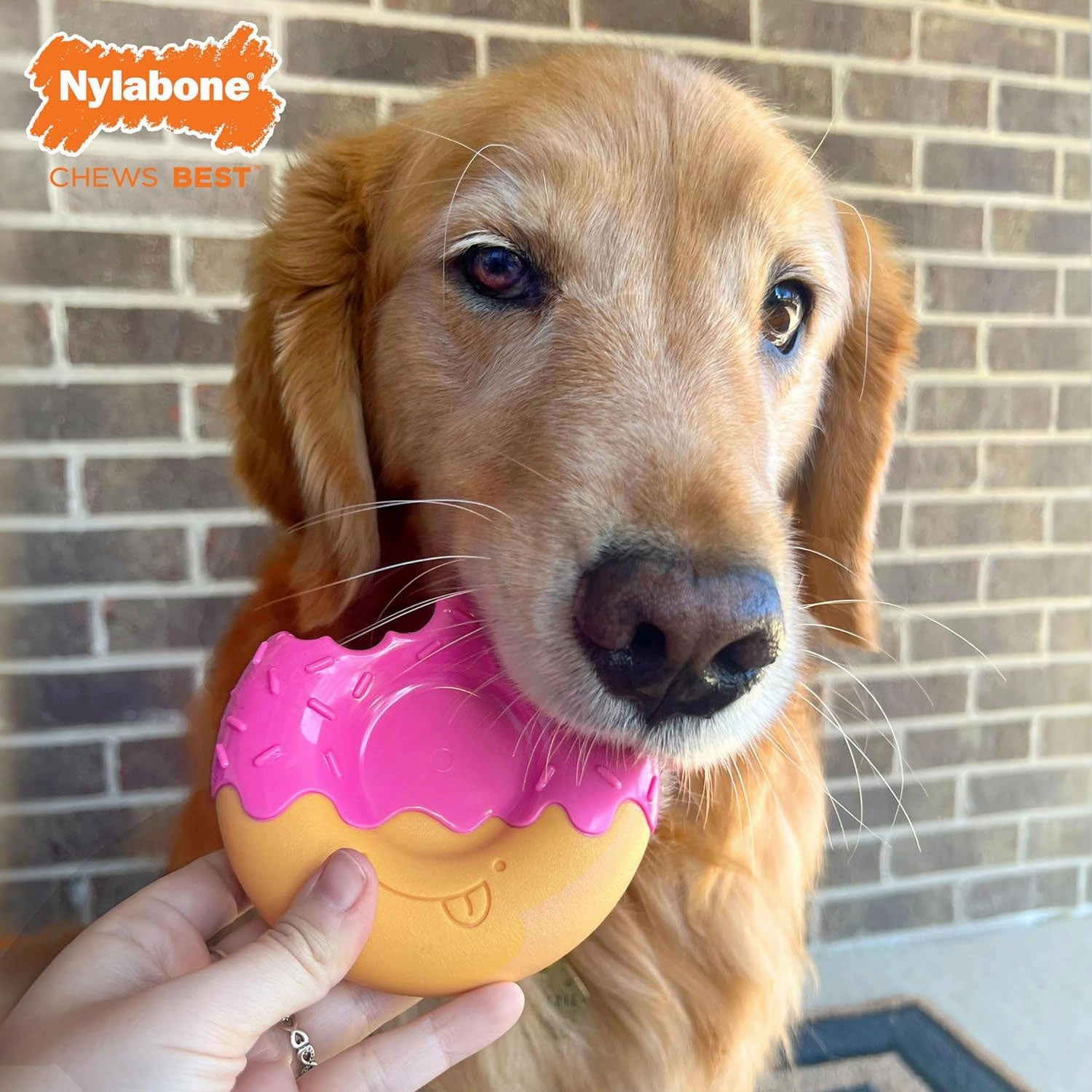 Nylabone Power Chew Donut Dog Toy