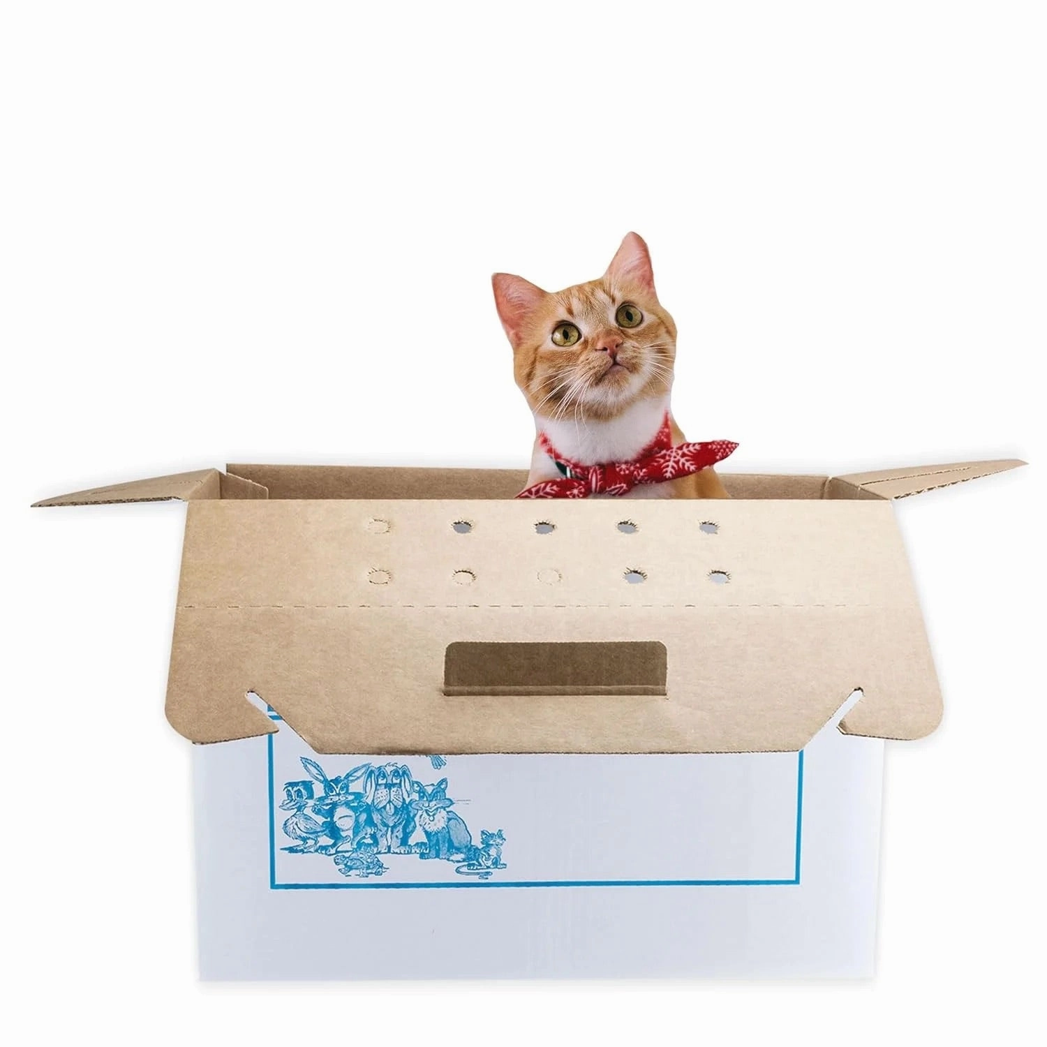 Oasis Disposable Pet Carrier