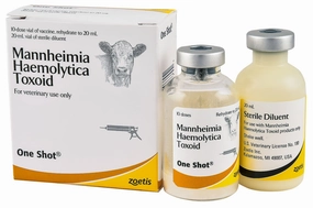 One Shot Pasteurella Vaccine for Cattle sheep feed sheep mineral sheep hay sheep pellets sheep salt block