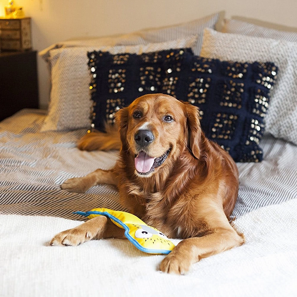 Outward Hound Fire Biterz Turtle Dog Toy