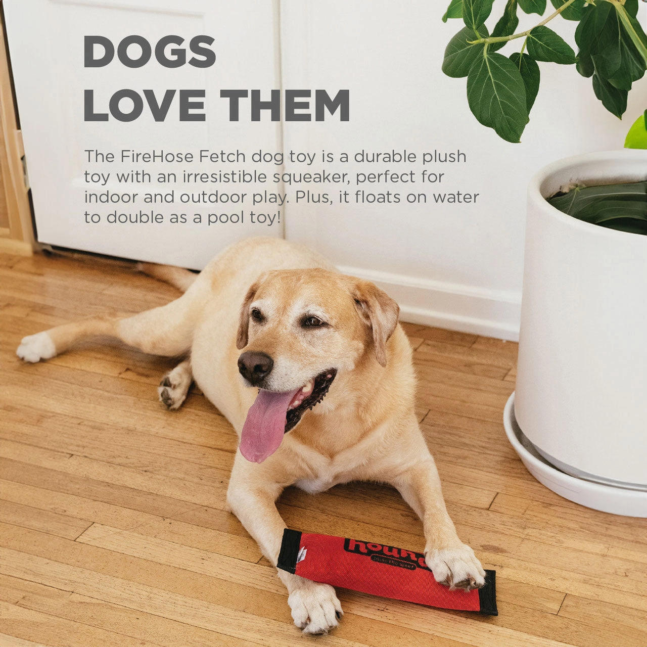 Outward Hound Fire House Fetch Toy
