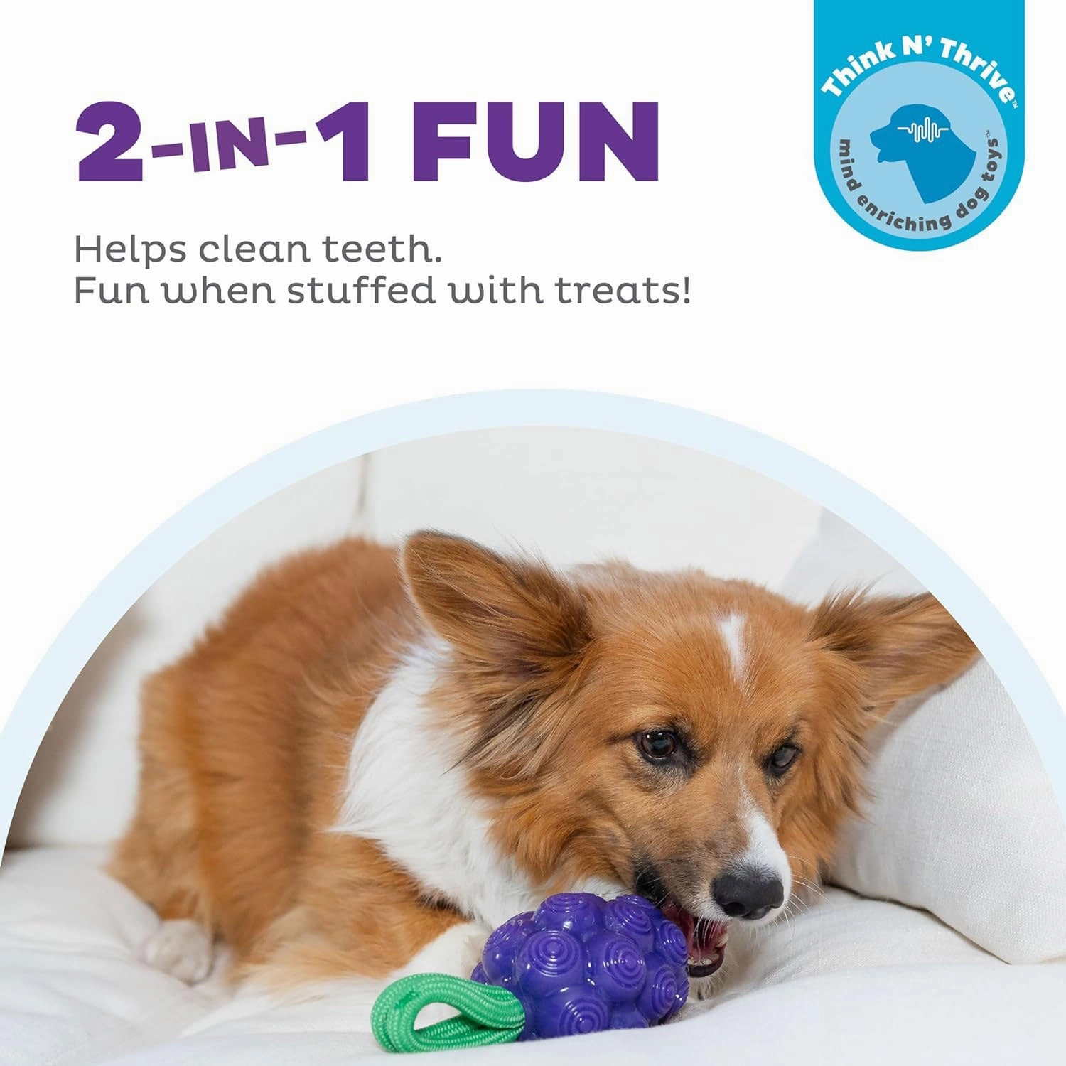 Outward Hound Grape Dental Chew Toy
